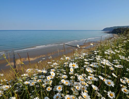 Cliff Top View, Lake